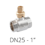 DN25-1”