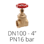 DN100 - 4”, PN16 bar